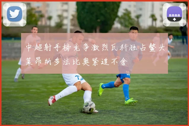 中超射手榜竞争激烈瓦科独占鳌头莱昂纳多法比奥紧追不舍