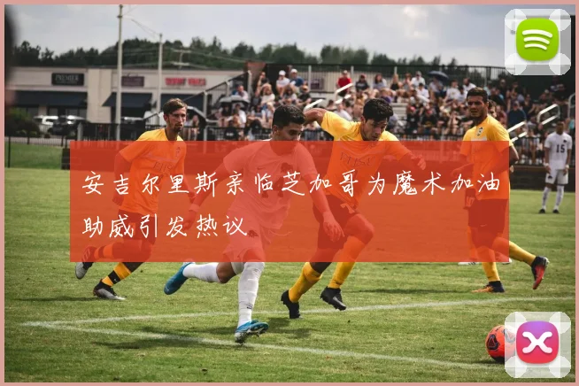 安吉尔里斯亲临芝加哥为魔术加油助威引发热议