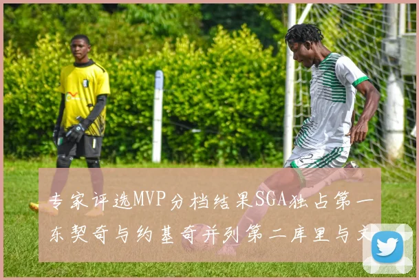 专家评选MVP分档结果SGA独占第一东契奇与约基奇并列第二库里与文班位列第四