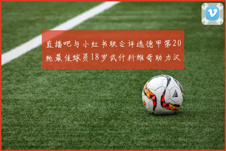 直播吧与小红书联合评选德甲第20轮最佳球员18岁武什科维奇助力汉堡逼平拜仁