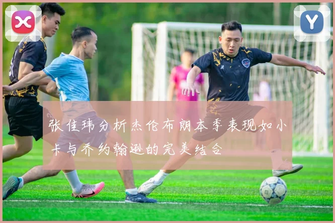 张佳玮分析杰伦布朗本季表现如小卡与乔约翰逊的完美结合